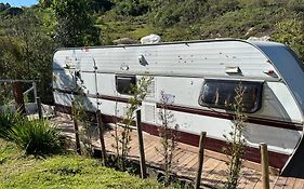 Trailer Oasis